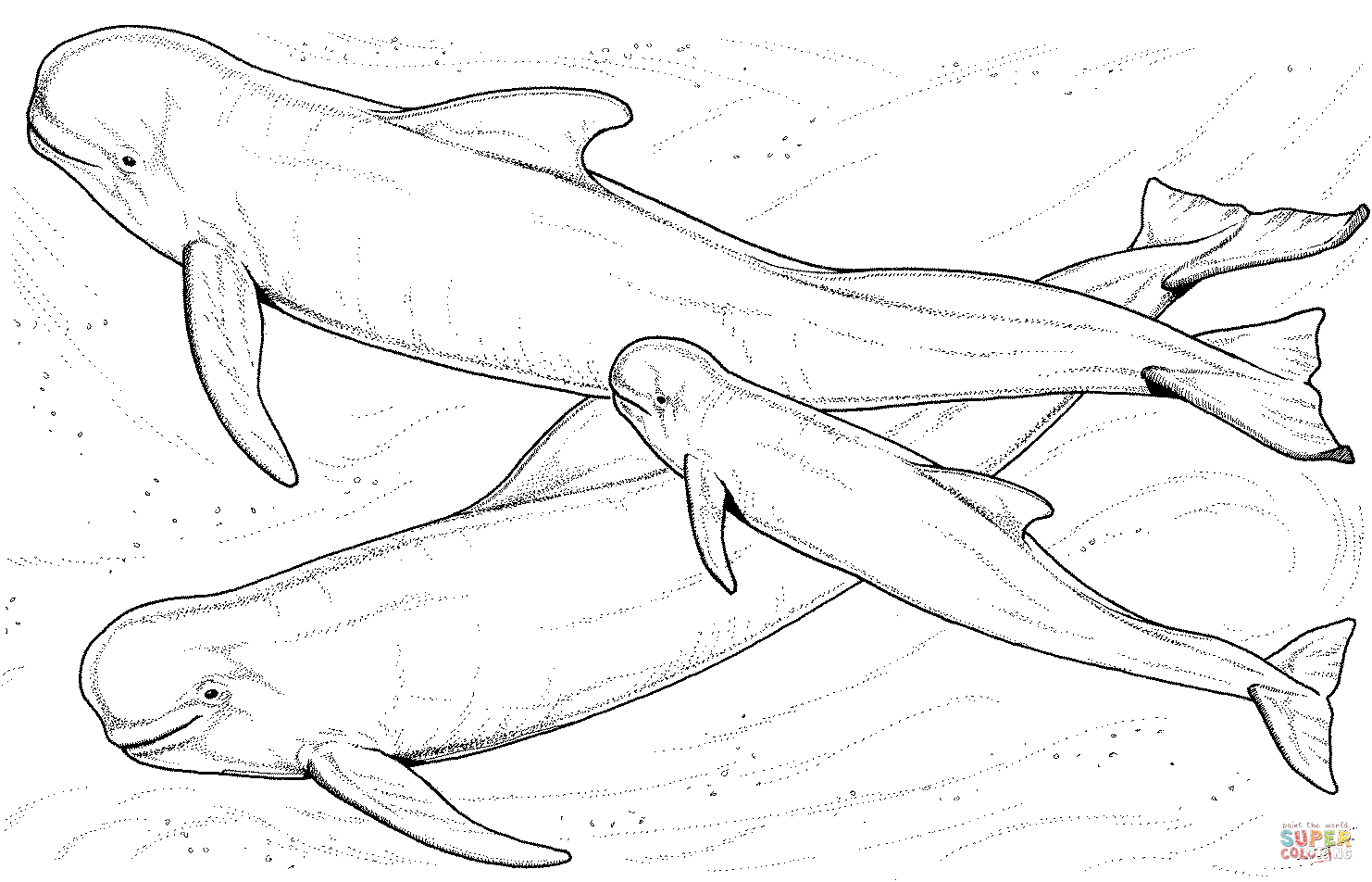 Dibujos para colorear e imprimir Ballenas