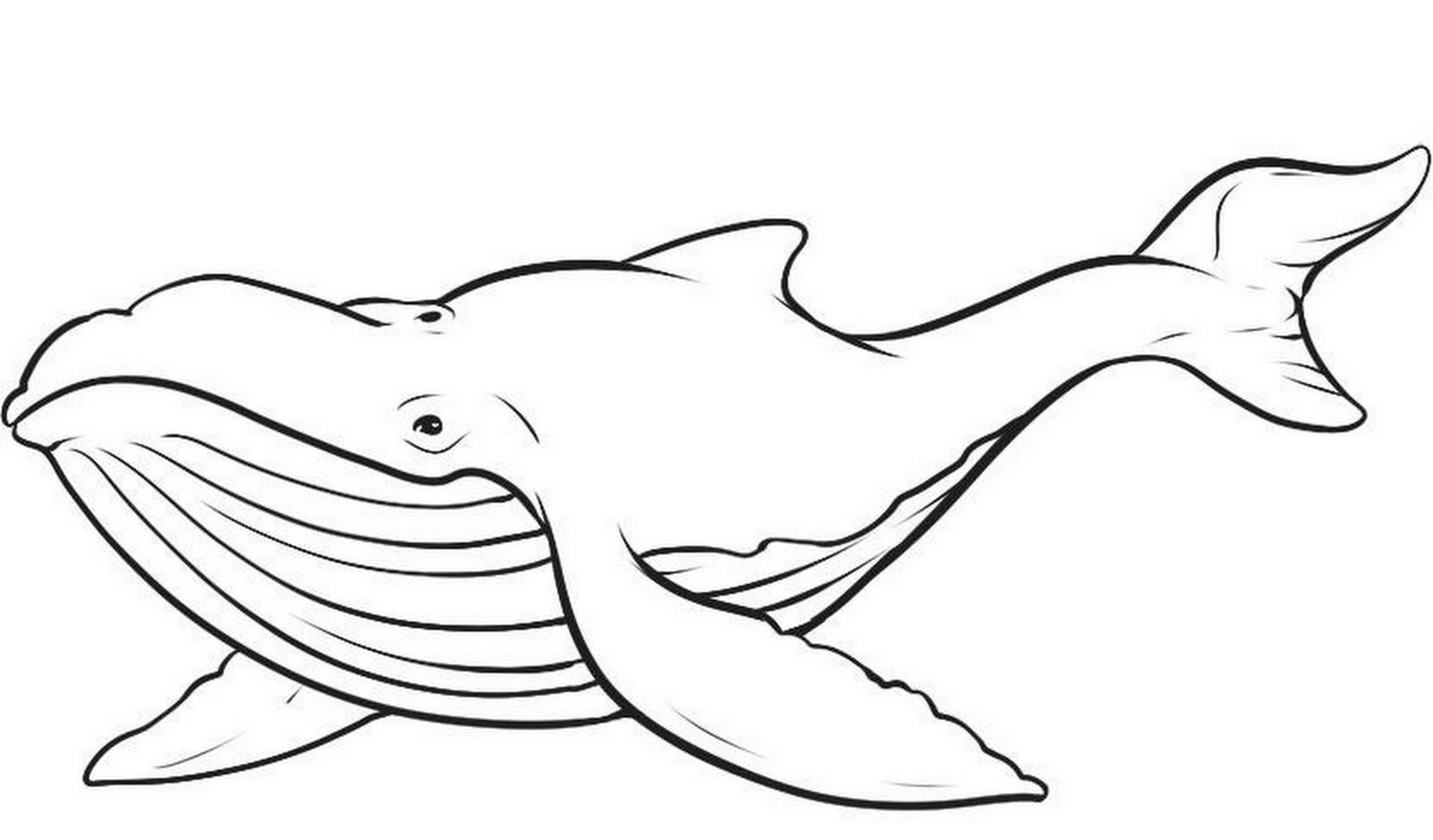 Dibujos para colorear e imprimir Ballenas