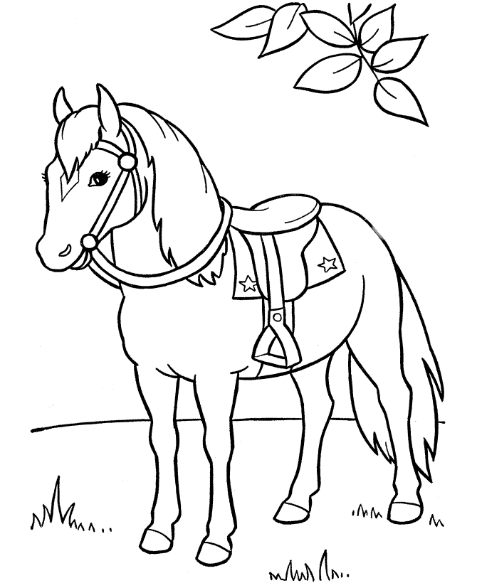 Dibujos para colorear e imprimir Caballos