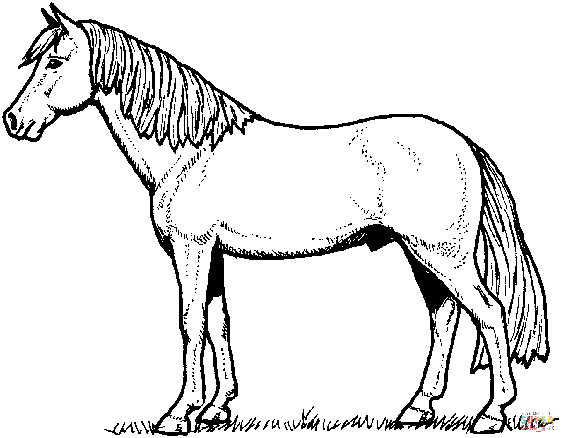 Dibujos para colorear e imprimir Caballos