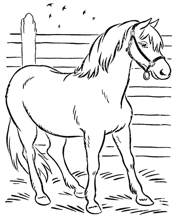 Dibujos para colorear e imprimir Caballos