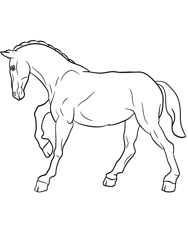 Dibujos para colorear e imprimir Caballos