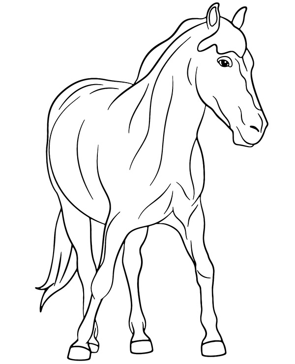 Dibujos para colorear e imprimir Caballos