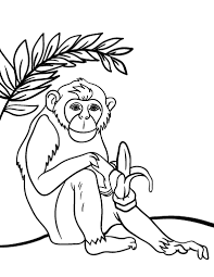 Dibujos para colorear e imprimir Chimpancé