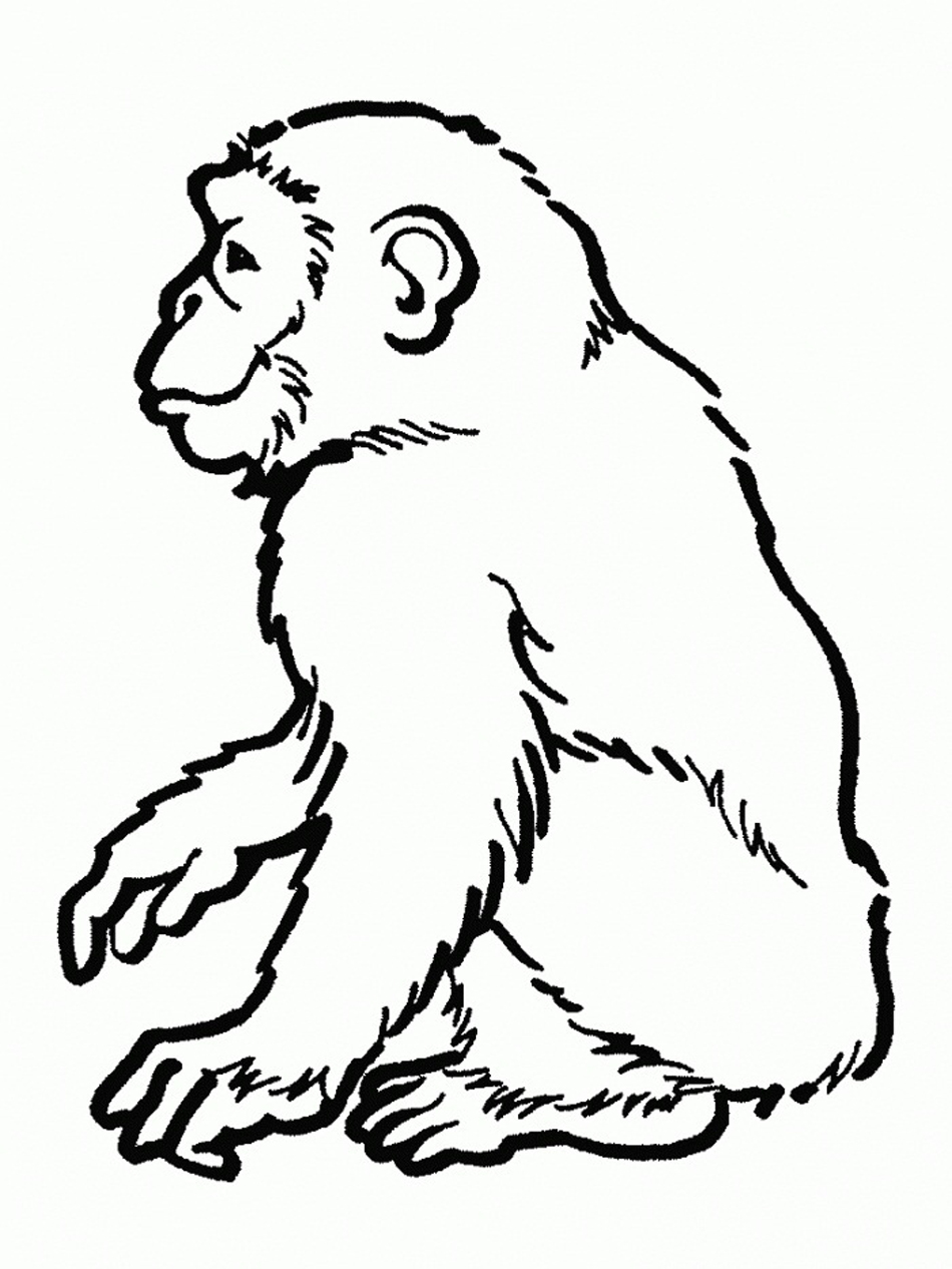 Dibujos para colorear e imprimir Chimpancé