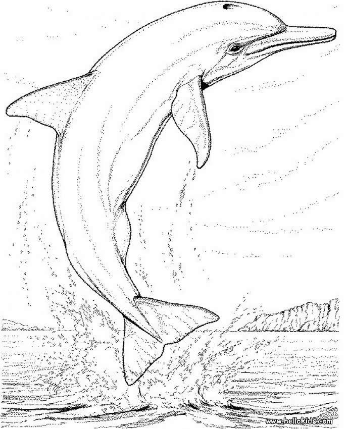 Dibujos para colorear e imprimir Delfines