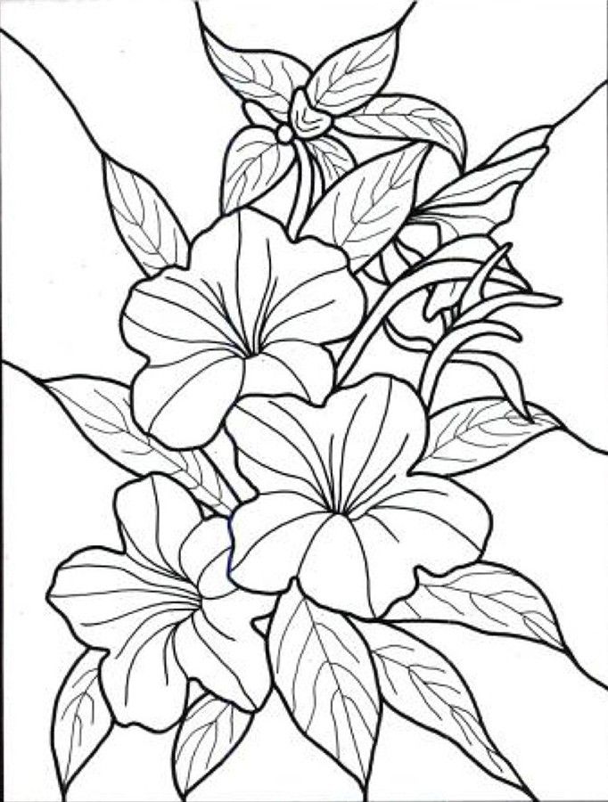 Dibujos para colorear e imprimir Flores