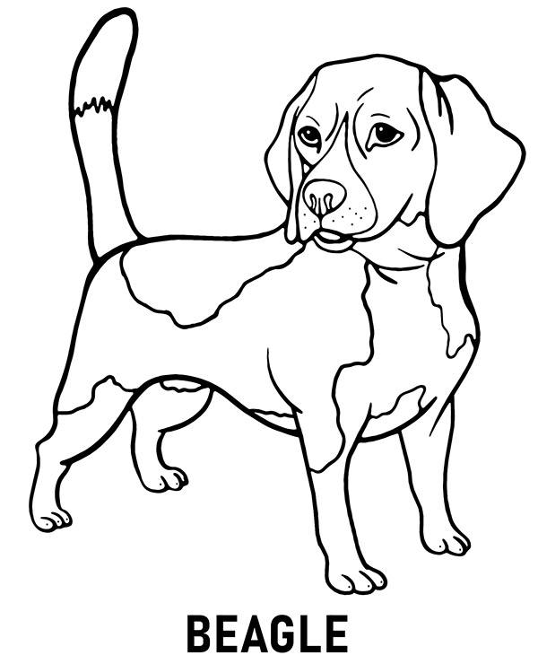 Dibujos para colorear e imprimir Perros