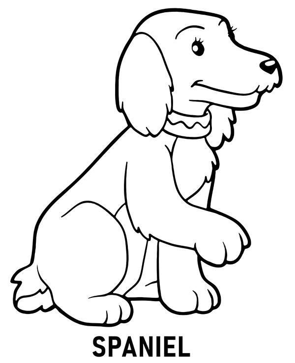 Dibujos para colorear e imprimir Perros