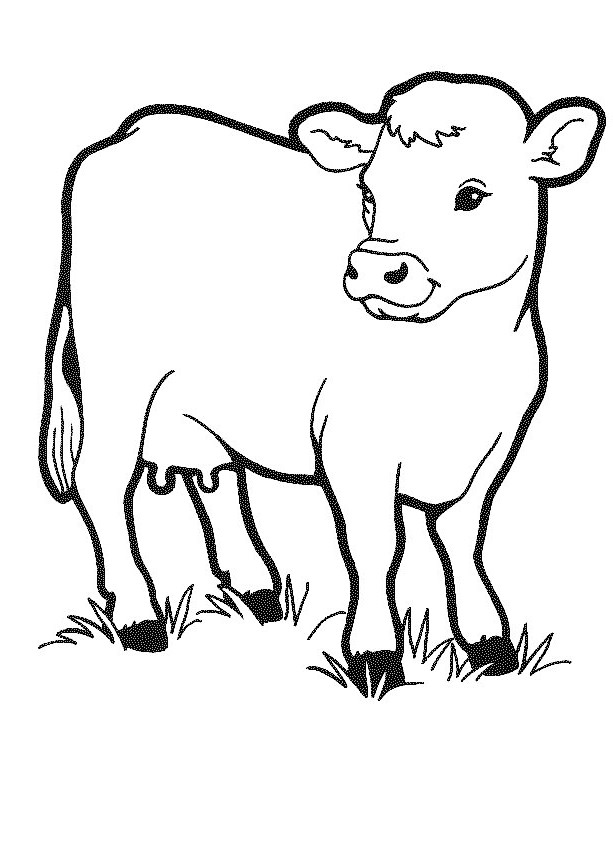 Dibujos para colorear e imprimir Vacas