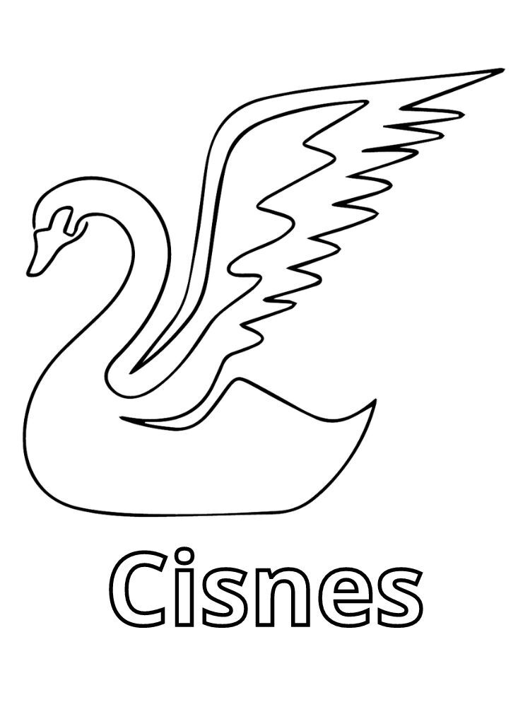 Dibujos para colorear e imprimir Cisnes