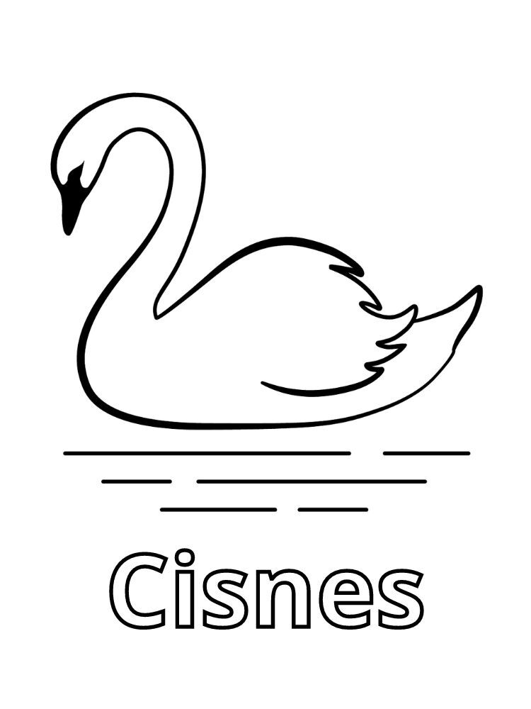 Dibujos para colorear e imprimir Cisnes